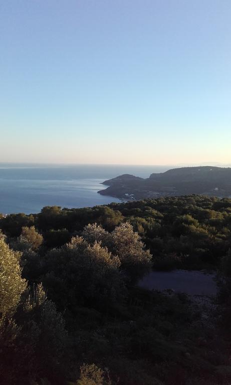 Barbara II Hotel Agia Marina  Bagian luar foto